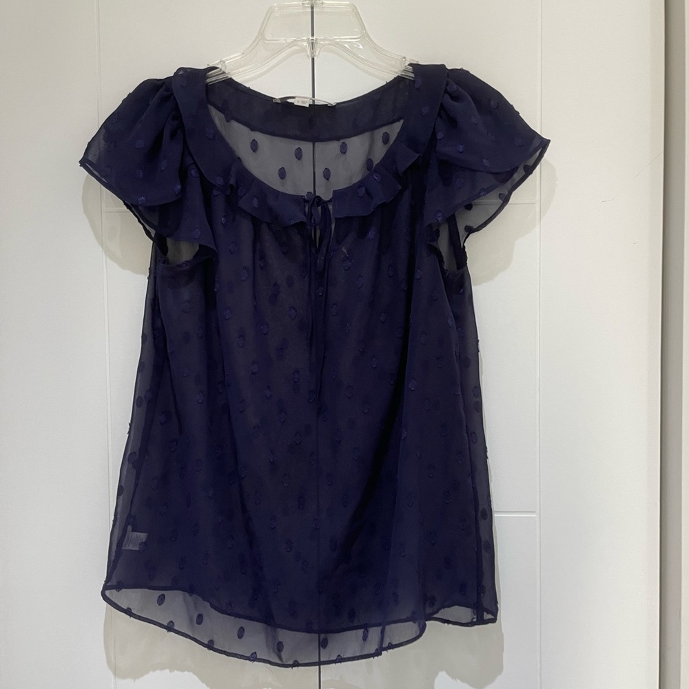Loft sheer blue business top
